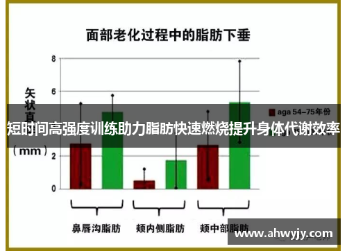 短时间高强度训练助力脂肪快速燃烧提升身体代谢效率